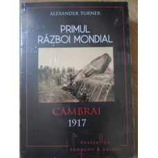 PRIMUL RAZBOI MONDIAL. CAMBRAI 1917
