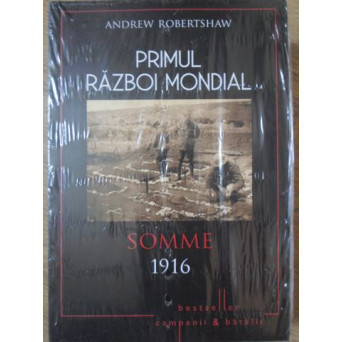 PRIMUL RAZBOI MONDIAL. SOMME 1916