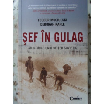 SEF IN GULAG. AMINTIRILE UNUI OFITER SOVIETIC