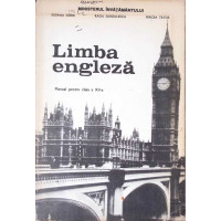 LIMBA ENGLEZA. MANUAL PENTRU CLASA A XII-A LIMBA ENGLEZA. MANUAL PENTRU CLASA A XII-A