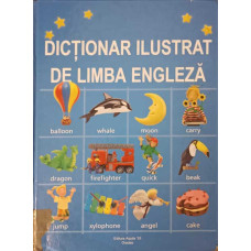 DICTIONAR ILUSTRAT DE LIMBA ENGLEZA