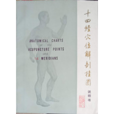 ANATOMICAL CHARTS OF THE ACUPUNCTURE POINTS AND 14 MERIDIANS