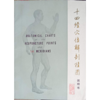 ANATOMICAL CHARTS OF THE ACUPUNCTURE POINTS AND 14 MERIDIANS