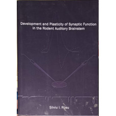 DEVELOPMENT AND PLASTICITY OF SYNAPTIC FUNCTION AT THE RODENT AUDITORY BRAINSTEM