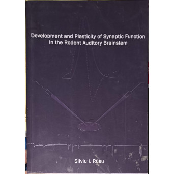 DEVELOPMENT AND PLASTICITY OF SYNAPTIC FUNCTION AT THE RODENT AUDITORY BRAINSTEM