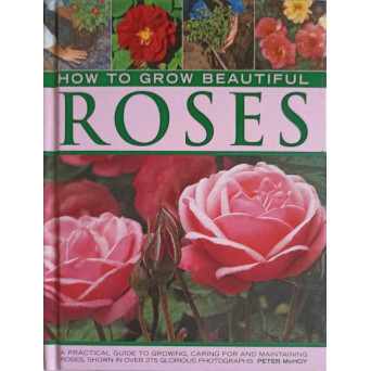 HOW TO GROW BEAUTIFUL ROSES