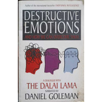 DESTRUCTIVE EMOTIONS AND HOW WE CAN OVERCOME THEM DESTRUCTIVE EMOTIONS AND HOW WE CAN OVERCOME THEM