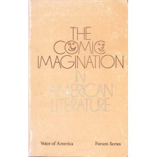 THE COMIC IMAGINATION IN AMERICAN LITERATURE