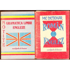 SET 2 NOTITE LB. ENGLEZA: GRAMATICA, MIC DICTIONAR