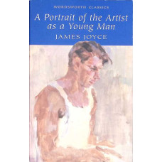 A PORTRAIT OF THE ARTIST AS A YOUNG MAN