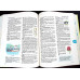 BEGINNING DICTIONARY MACMILLAN