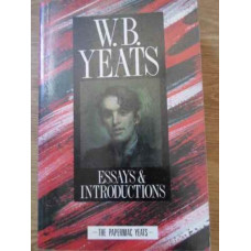 ESSAYS & INTRODUCTIONS