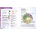 FAIRYLAND 3A-3B: LIMBA MODERNA ENGLEZA, CLASA A III-A, SEMESTRUL1-2 (CD INCLUS)
