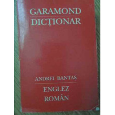 MIC DICTIONAR ENGLEZ ROMAN