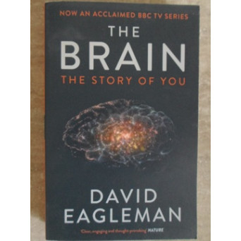 THE BRAIN. THE STORY OF YOU