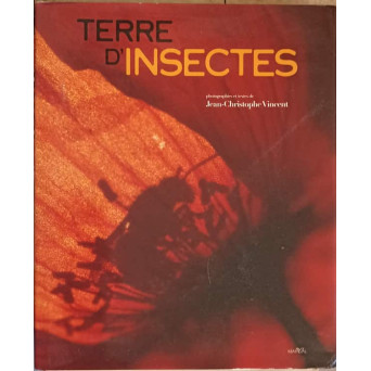 TERRE D'INSECTES