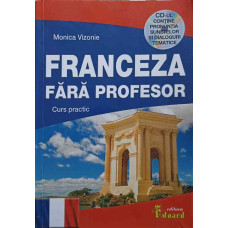 FRANCEZA FARA PROFESOR. CURS PRACTIC