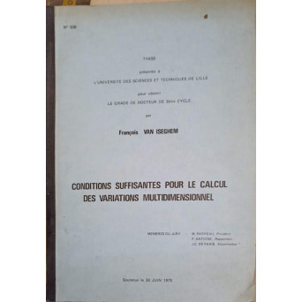 CONDITIONS SUFFISANTES POUR LE CALCUL DES VARIATIONS MULTIDIMENSIONNEL