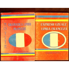 SET 2 NOTITE LB. FRANCEZA: GRAMATICA, EXPRESII UZUALE