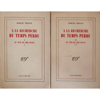 A LA RECHERCHE DU TEMPS PERDU. DU COTE DE CHEZ SWANN VOL.1-2