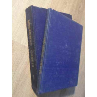 LIMBA GERMANA VOL.1 (+ VOCABULAR)