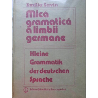 MICA GRAMATICA A LIMBII GERMANE
