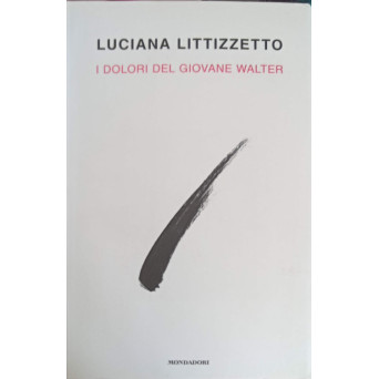 I DOLORI DEL GIOVANE WALTER