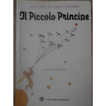 IL PICCOLO PRINCIPE
