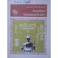 ANALIZE GRAMATICALE