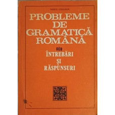 PROBLEME DE GRAMATICA ROMANA. INTREBARI SI RASPUNSURI