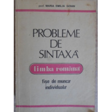 PROBLEME DE SINTAXA LIMBA ROMANA. FISE DE MUNCA INDIVIDUALA