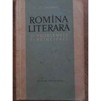 ROMANA LITERARA SI PROBLEMELE EI PRINCIPALE ROMANA LITERARA SI PROBLEMELE EI PRINCIPALE