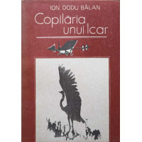 COPILARIA UNUI ICAR. LA UN VEAC DE LA NASTEREA LUI AUREL VLAICU COPILARIA UNUI ICAR. LA UN VEAC DE LA NASTEREA LUI AUREL VLAICU