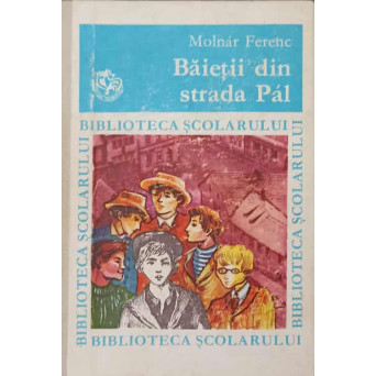 BAIETII DIN STRADA PAL