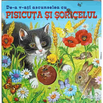 DE-A V-ATI ASCUNSELEA CU PISICUTA SI SORICELUL
