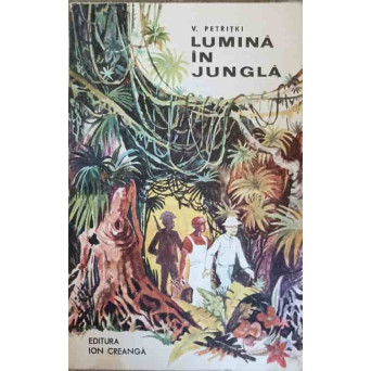 LUMINA IN JUNGLA