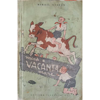 MICA E VACANTA MARE