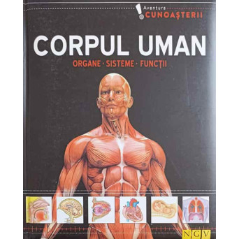 CORPUL UMAN: ORGANE, SISTEME, FUNCTII