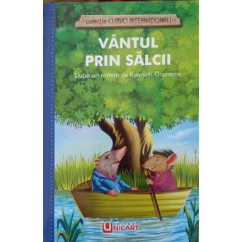 VANTUL PRIN SALCII