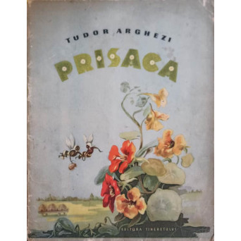 PRISACA. ILUSTRATII: MARCELA CORDESCU
