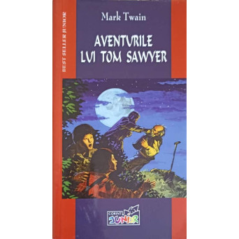 AVENTURILE LUI TOM SAWYER
