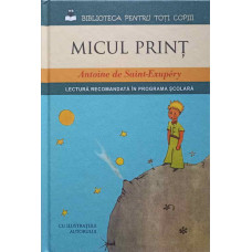 MICUL PRINT