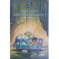 VANTUL PRIN SALCII VANTUL PRIN SALCII