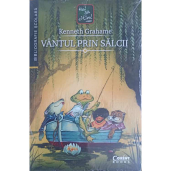 VANTUL PRIN SALCII