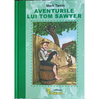 AVENTURILE LUI TOM SAWYER