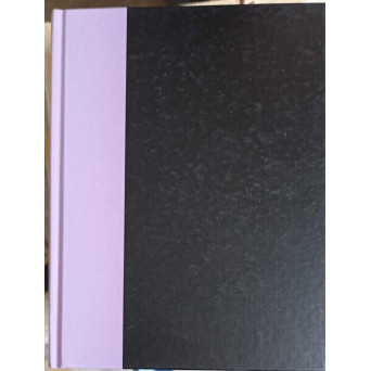 SERIA SEPTIMUS HEAP, CARTEA 6: FIEFUL