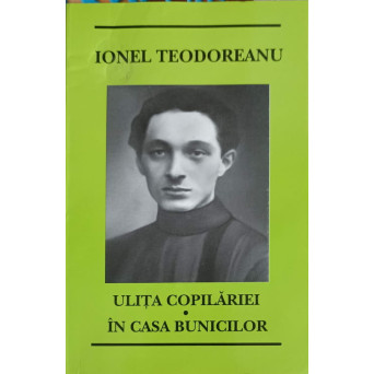 ULITA COPILARIEI. IN CASA BUNICILOR