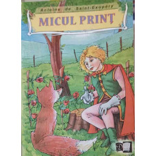 MICUL PRINT