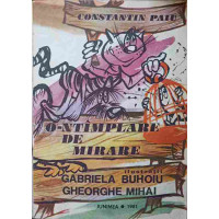 O-NTAMPLARE DE MIRARE O-NTAMPLARE DE MIRARE