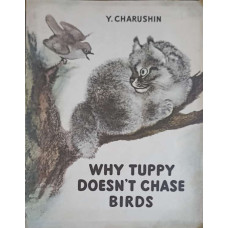 WHY TUPPY DOESN'T CHASE BIRDS